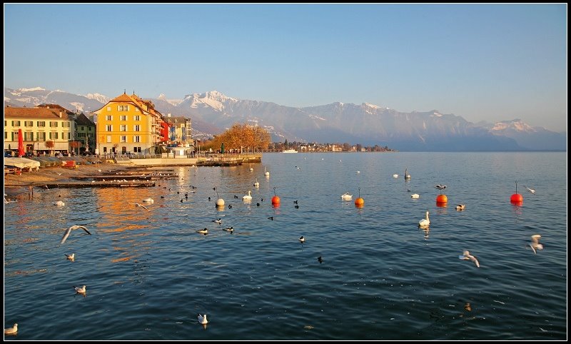 Vevey, Switzerland by 尼尔伯