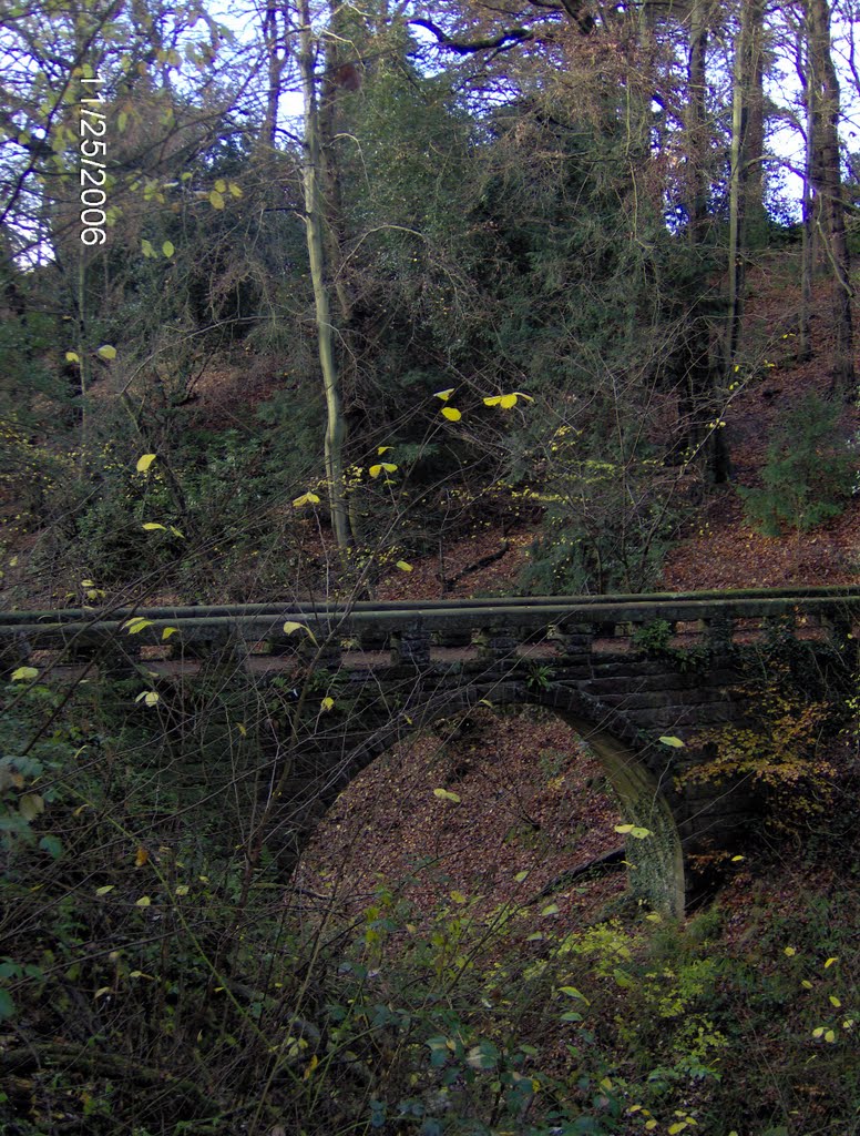 Chapel Bridge Styal Woods by lievenvdk