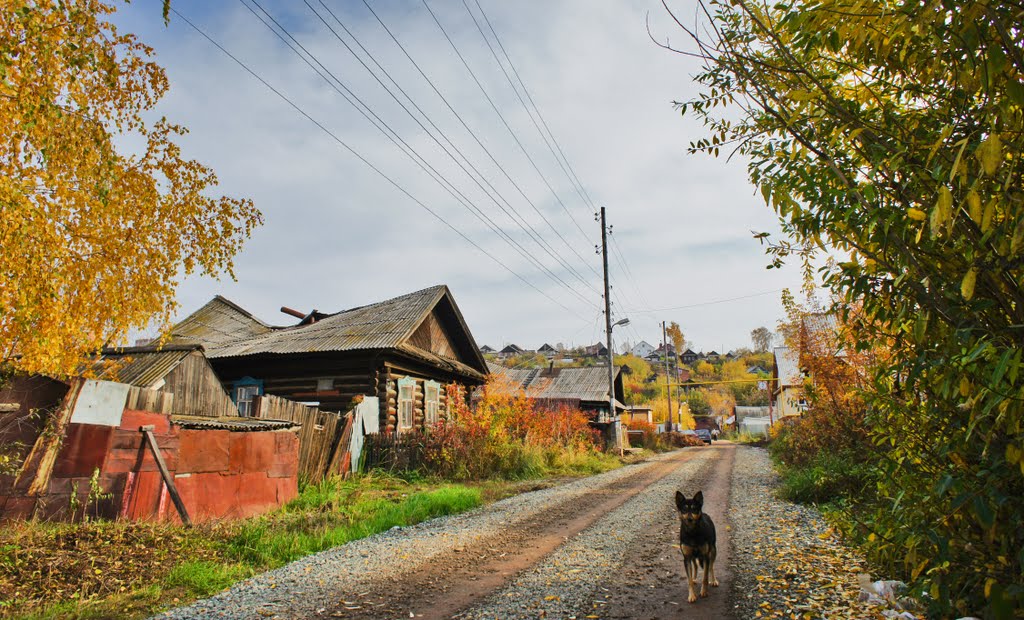 Переулок Ястребовский. Октябрь 2011 by Boris Busorgin