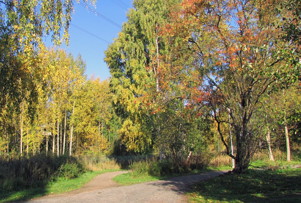 Pikku Huopalahti in October by walnima