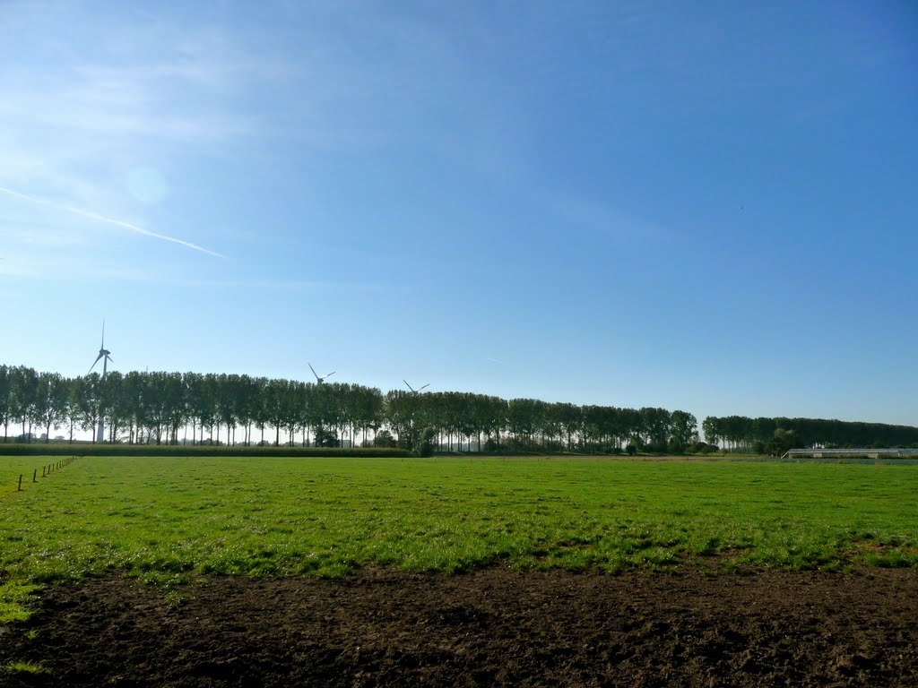 Sint-Laureins Weide en windmolens by joeri Goossens