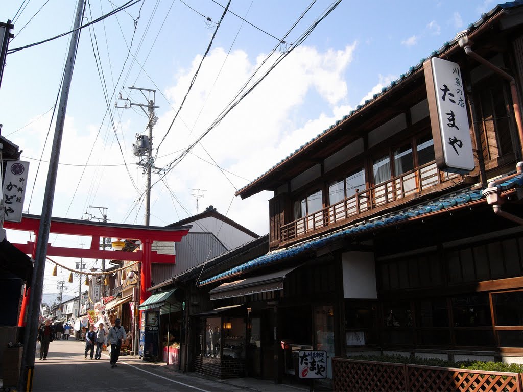 千代保神社参道 by santa_dx