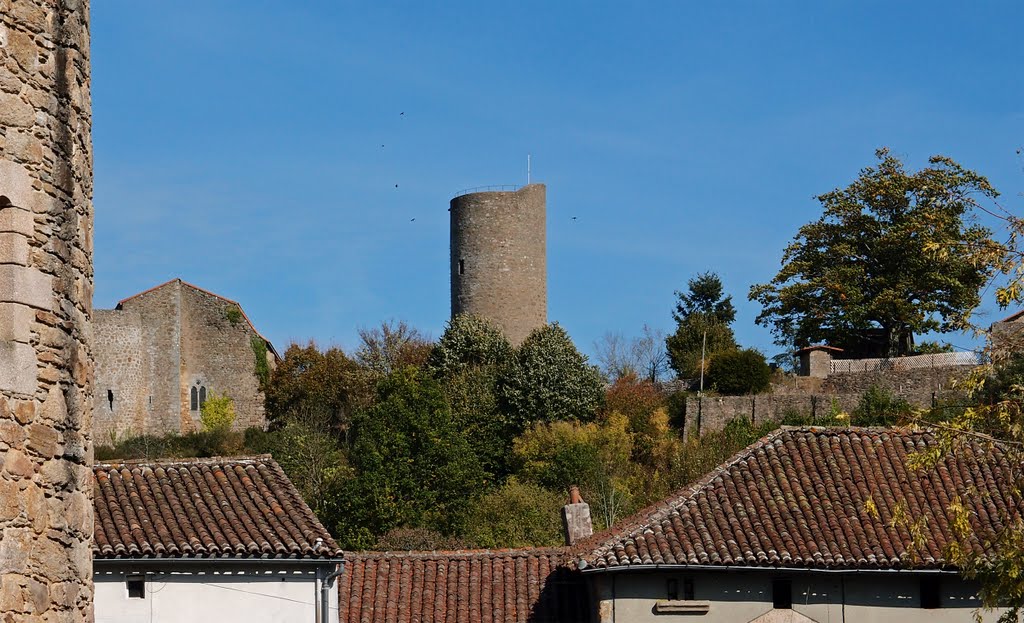 The tower of Chateau Chalus-Chabrol - Oct 2011 by Mike Stuckey