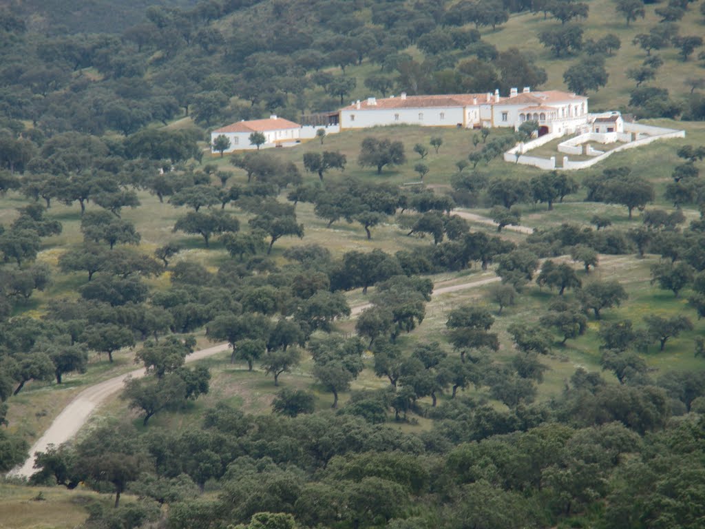 Herdade da Coitadinha, Barrancos Portugal by Luís Fontinha