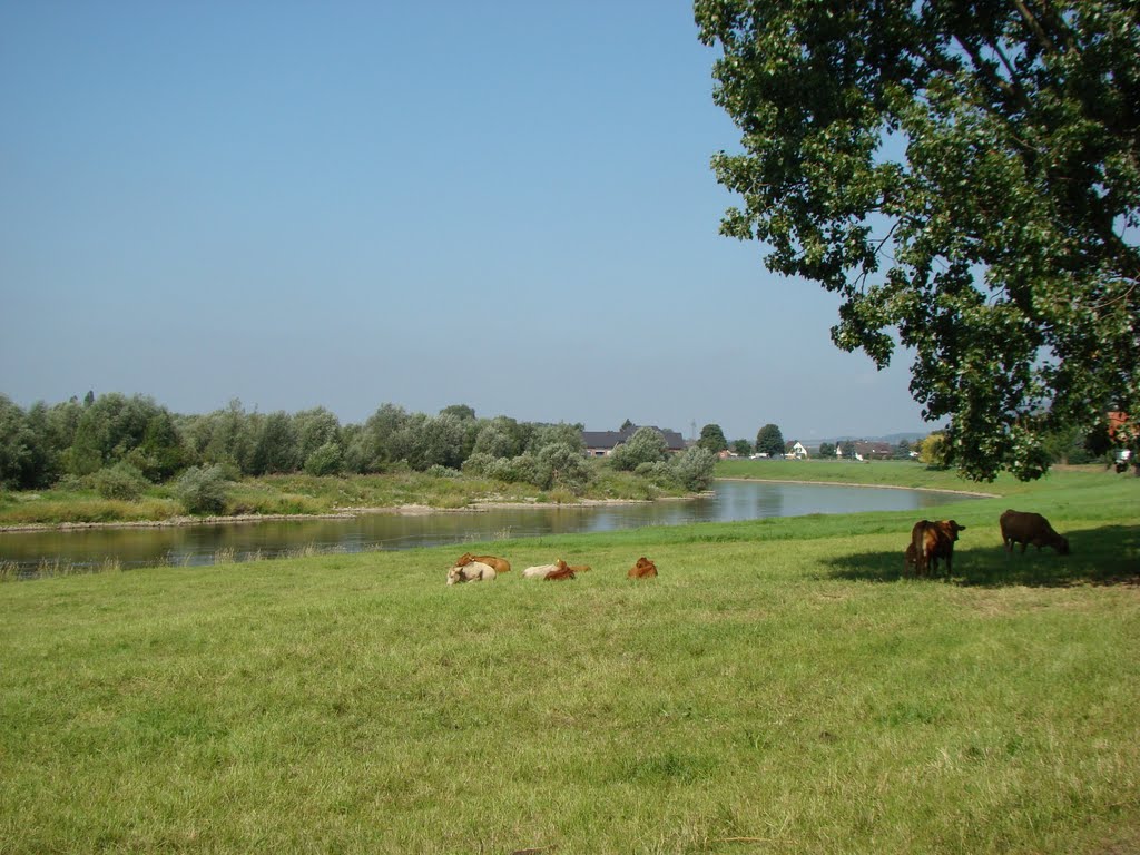 Weserbergland ( Weser ) August 2011 by DortmundWestfalica