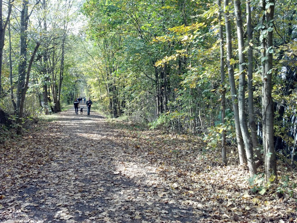 Rail Trail - New Paltz by Don Schwartz