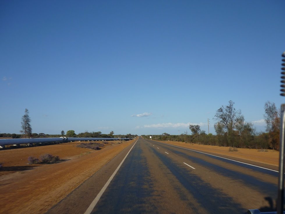 On The Great Eastern Hwy To Kalgoorlie September 2011 by spider52