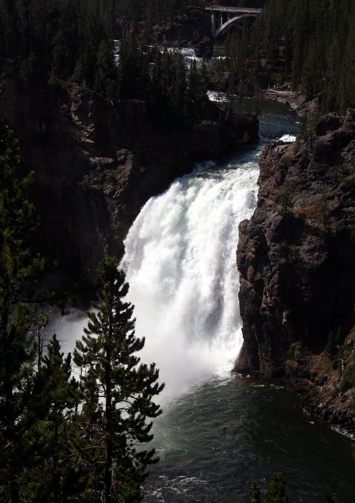 Yellowstone Upper Falls 108 ft,Yellowstone National Park,Wyoming,USA by top spotter