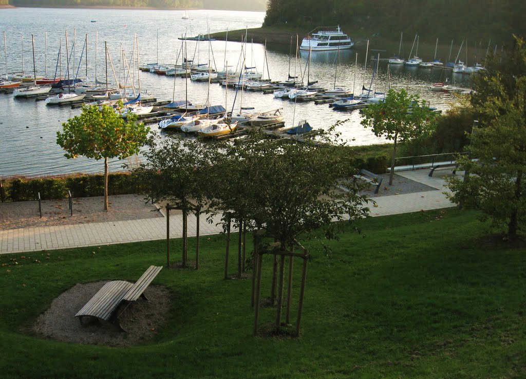 "Bankaufsicht" Ruheplatz in Sundern an der Sorpe... by eichhörnchen