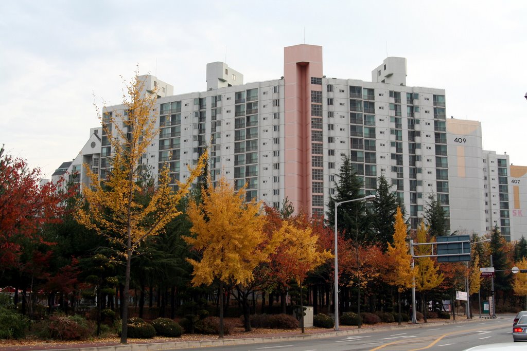 Autumn leaves at Expo Apartment, 엑스포아파트의 단풍 by Byoungcheon Lee