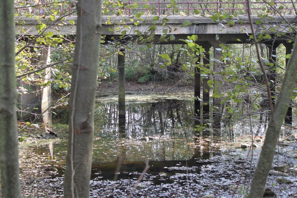 Pont routier sur liaison entre étangs by ZykZak