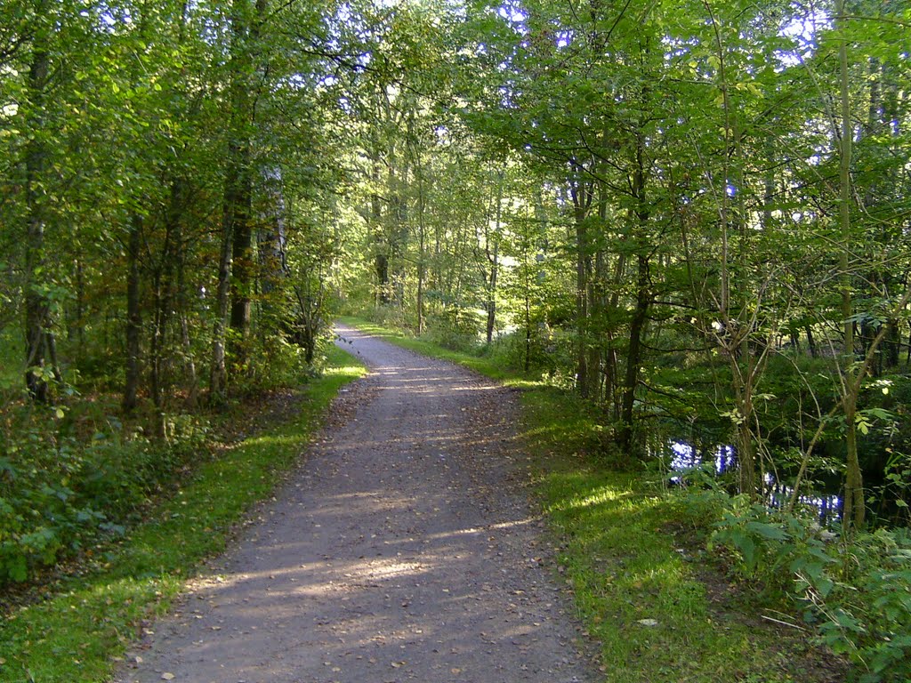 Radwanderweg in Nähe Krohnstieg by Der Naturmensch