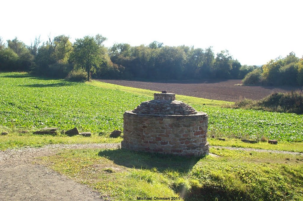 Römischer Vicus (Rennofen) in Eisenberg/Pfalz by Michael Ohmsen