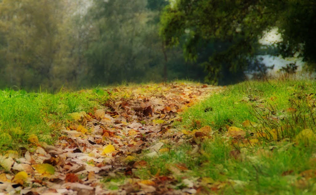 Das erste Herbstlaub by Thomas S. aus G.