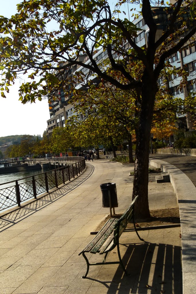 Quai Turrettini sur le Rhône by Magda GHALI