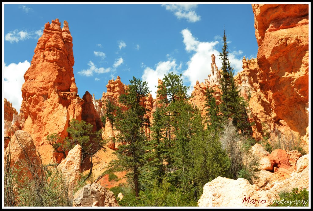 Bryce Canyon National Park by Mario Kaupe