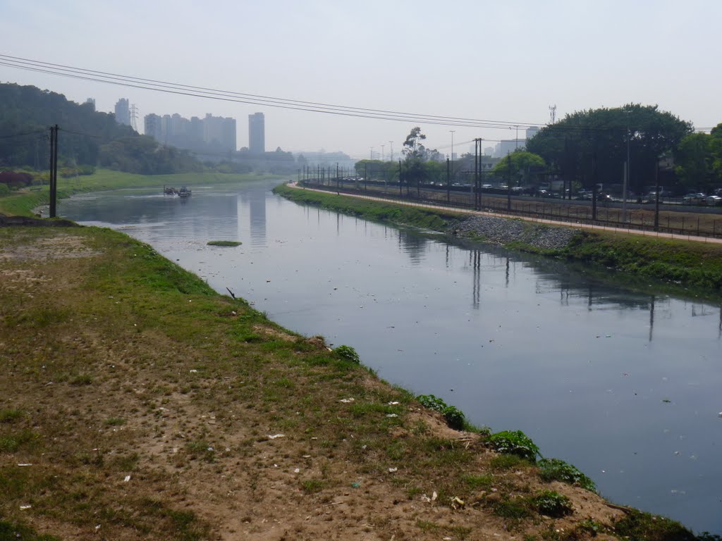 Rio Pinheiros – São Paulo, 2011 by Daniel Souza Lima