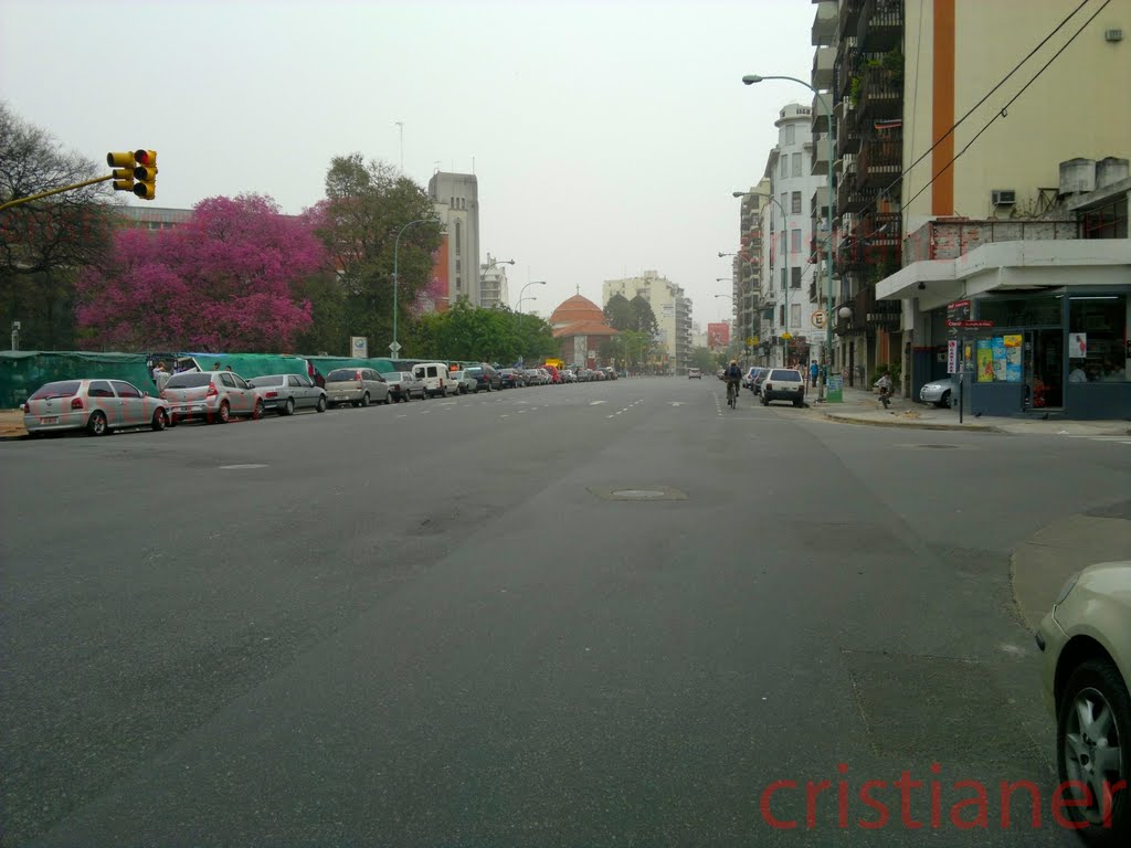 Av. Angel Gallardo (cenizas) by Cristianer