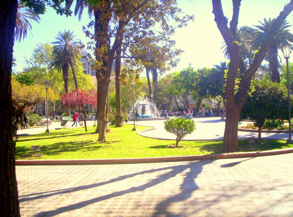 Plaza 25 de Mayo by sombradenadie