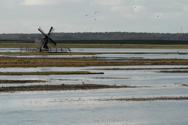 Polder Waal en Burg by Salko de Wolf