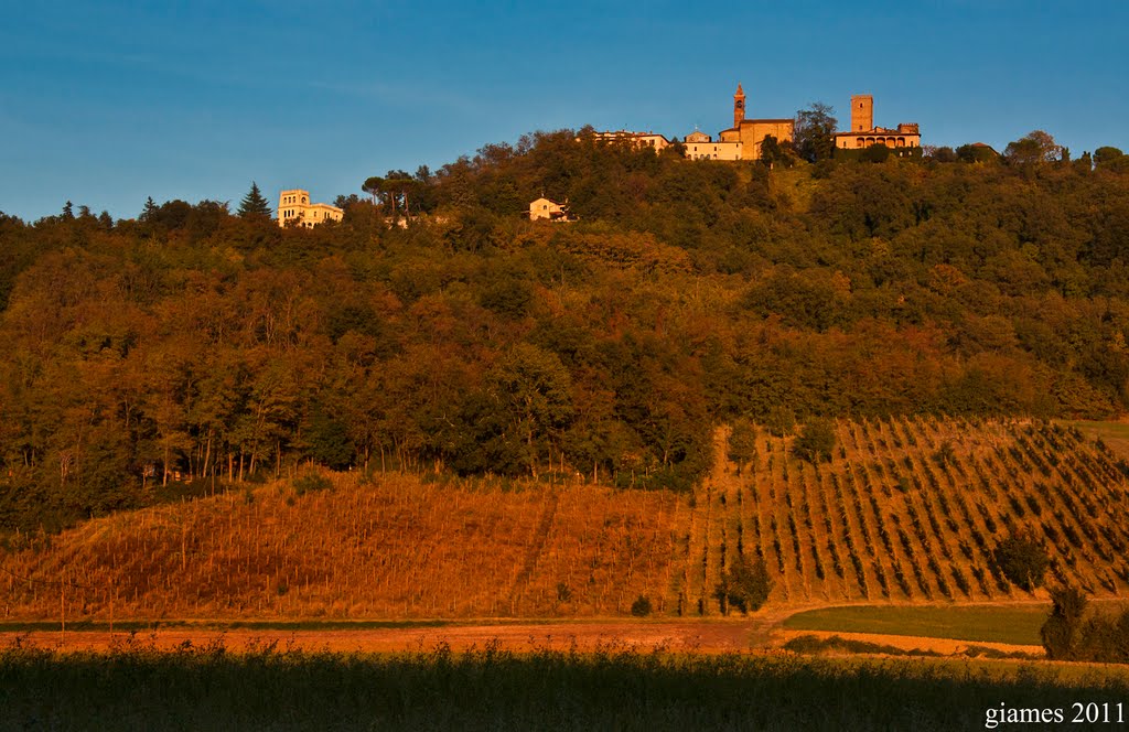 Nazzano, Rosso Oltrepò (Ottobre 2011) by GiamesPhoto (Giacomo A. Turco)