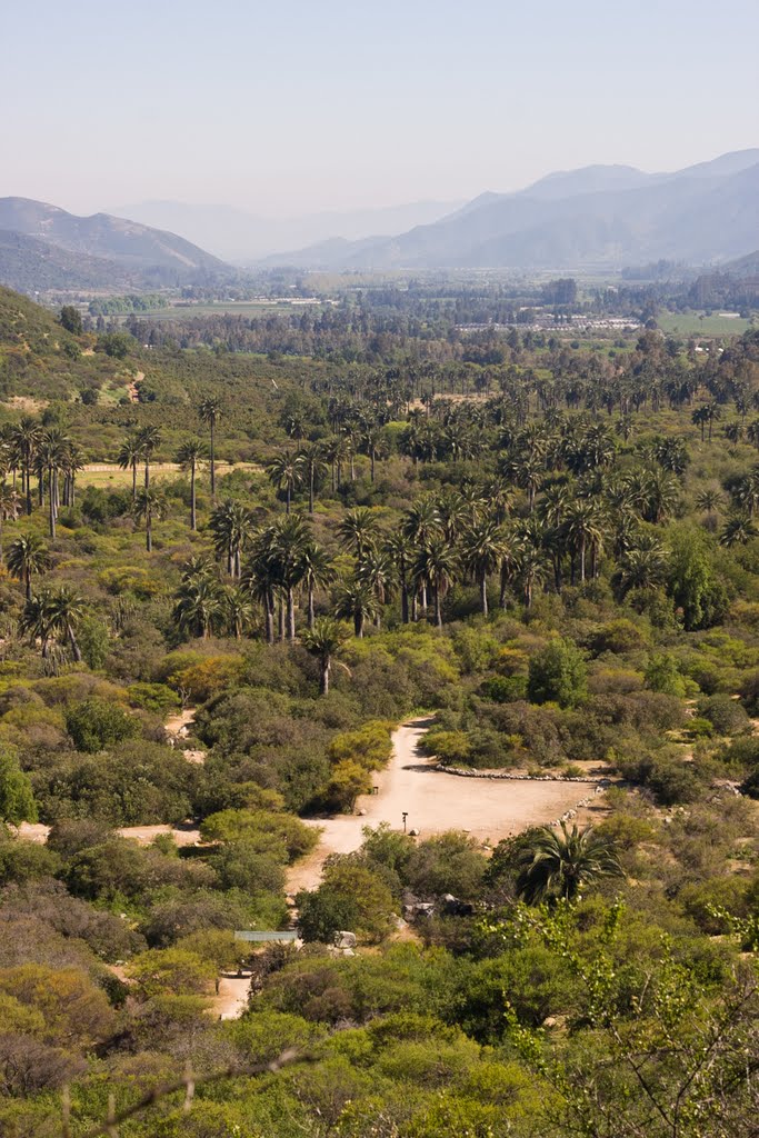 Vista de la entrada del sendero, sector el peral by Mauricio A