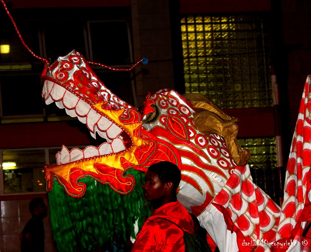 ¿Dragón chino en carnaval cubano? by DnTrotaMundos ☮