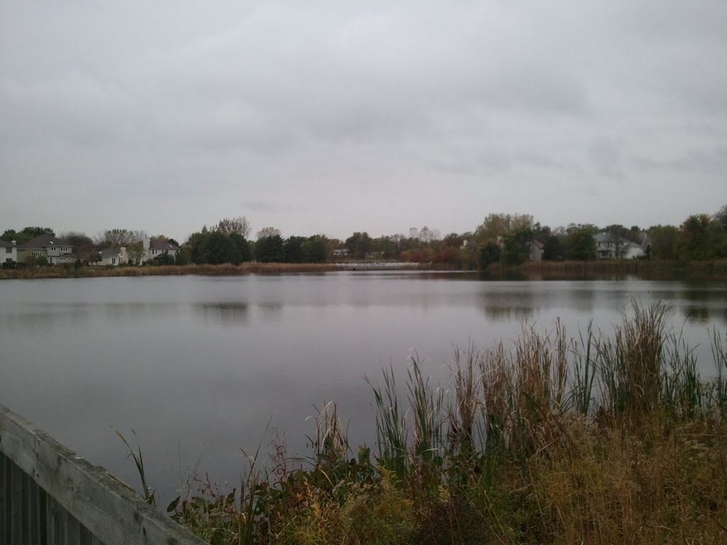 Gateway Wetlands Bolingbrook by Kolbeck