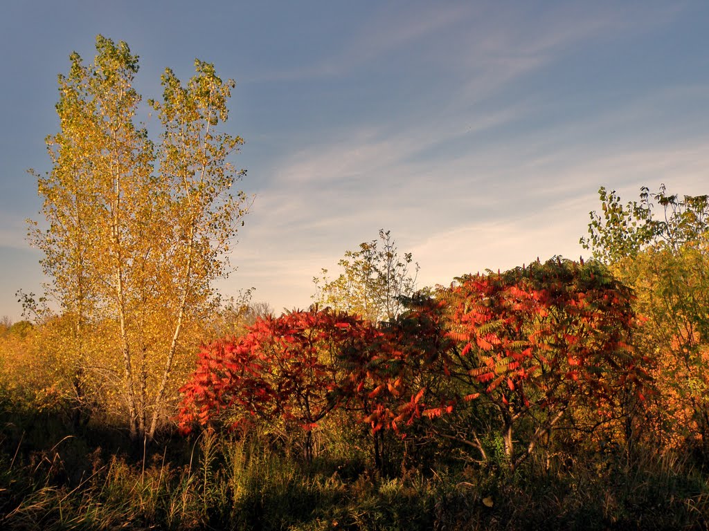 District Saint - Raymond - Vanier, Gatineau, QC, Canada by Sylvain Morest