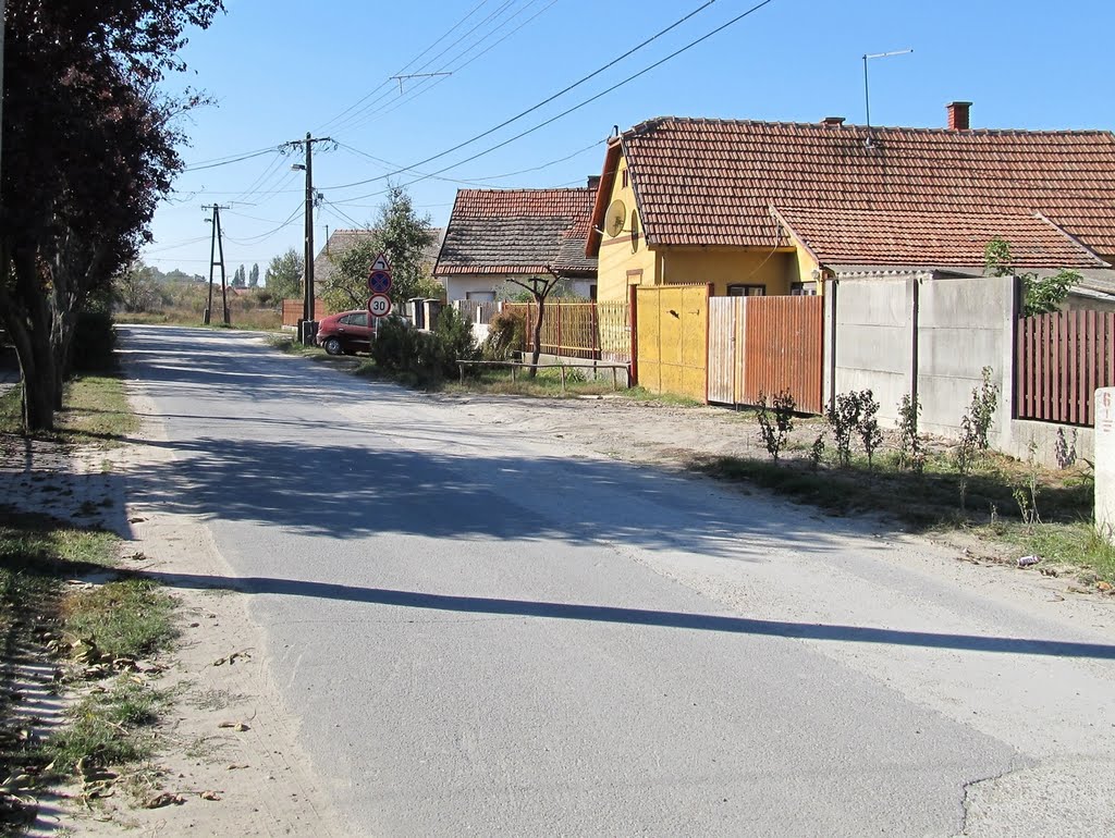 201110181225 Nagykőrös, Kárpát utca, a Honvéd utca környékén by Harmadik