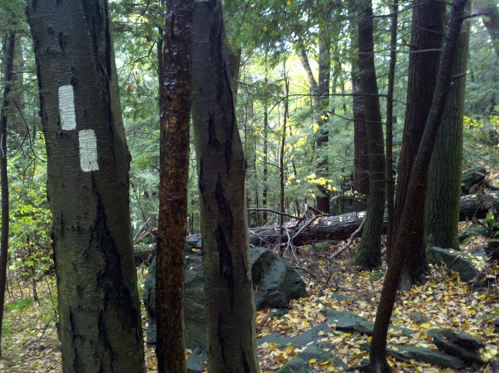 Weetauwanchu Mountain, Appalachian Trail, Salisbury, CT 10152011 by Arkie_in_CT