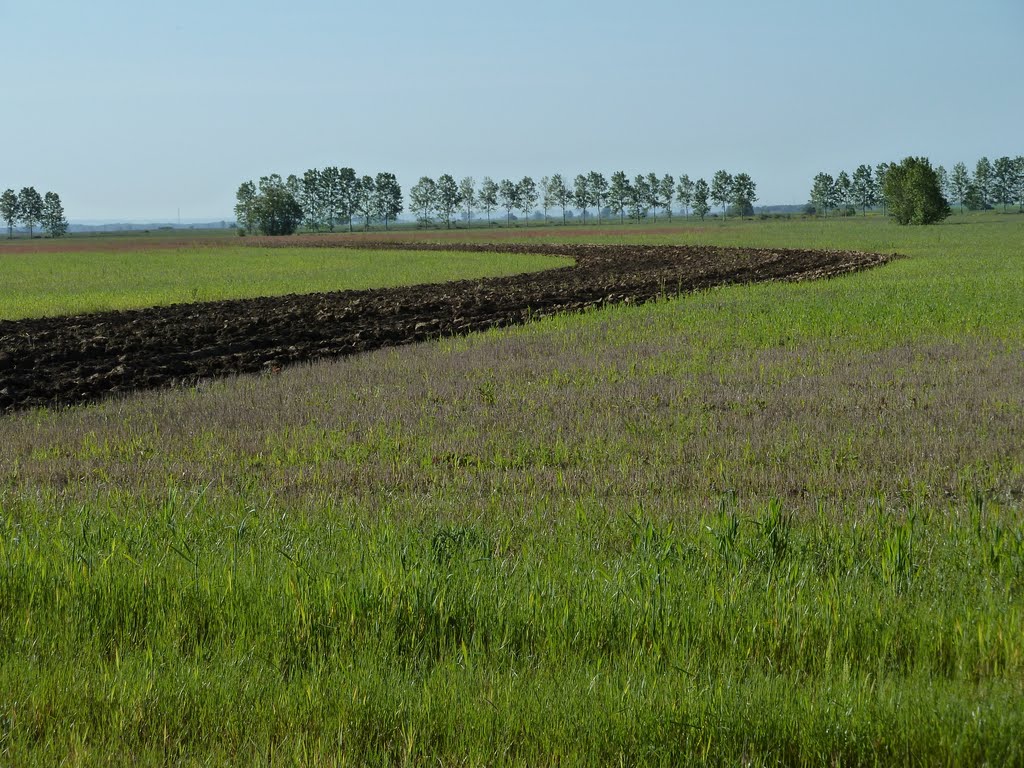 Bustillo del Páramo de Carrión, 34129, Palencia, Spain by sullutuk