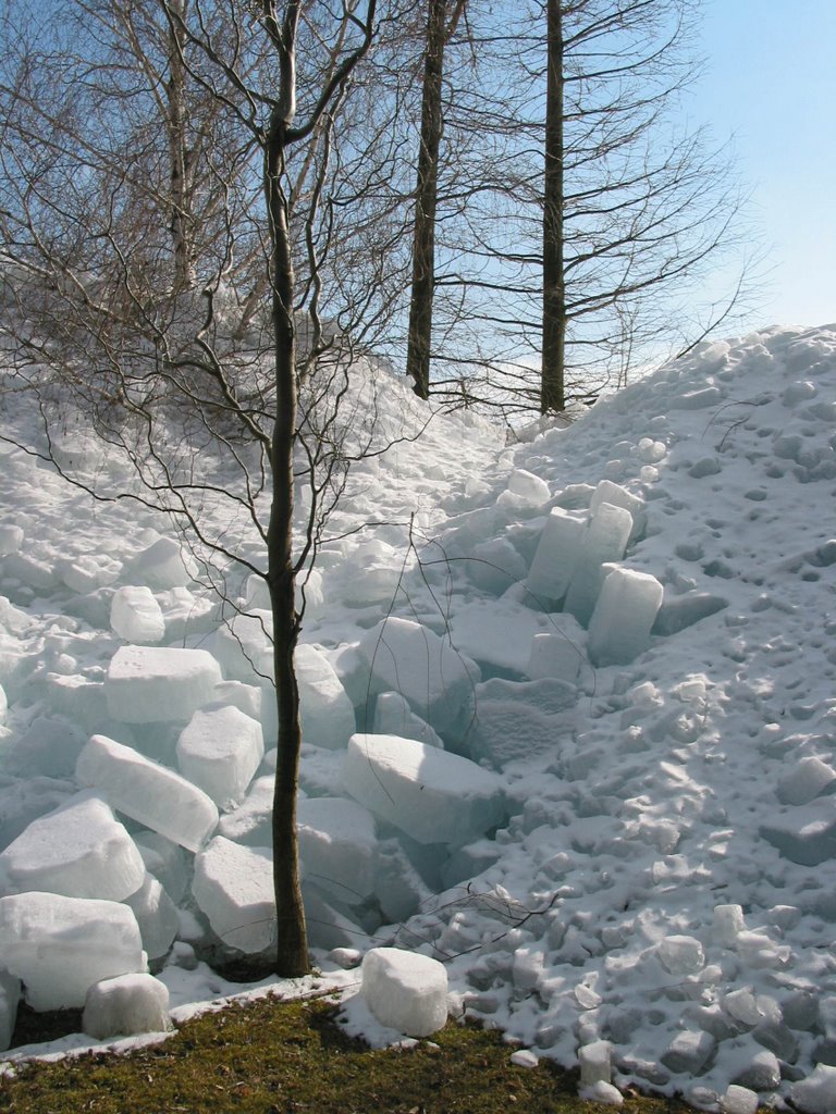 Icebergs, Balatonkenese 2006.03.08 by F.Lawrence