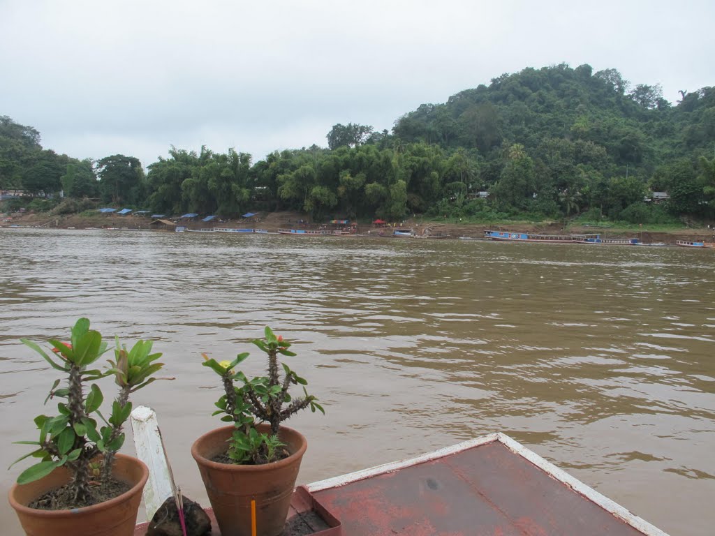 Mekong by alvincent