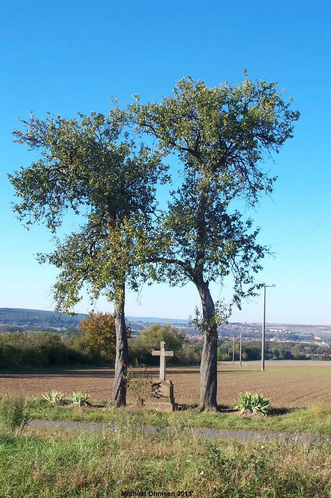 Feldkreuz in Hettenleidelheim by Michael Ohmsen