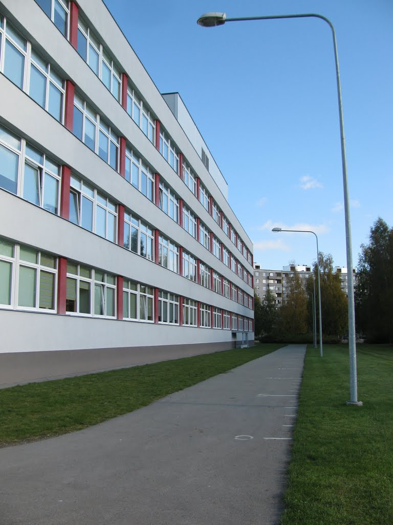 School at Väike-Öismäe by Raimo Mäkelä