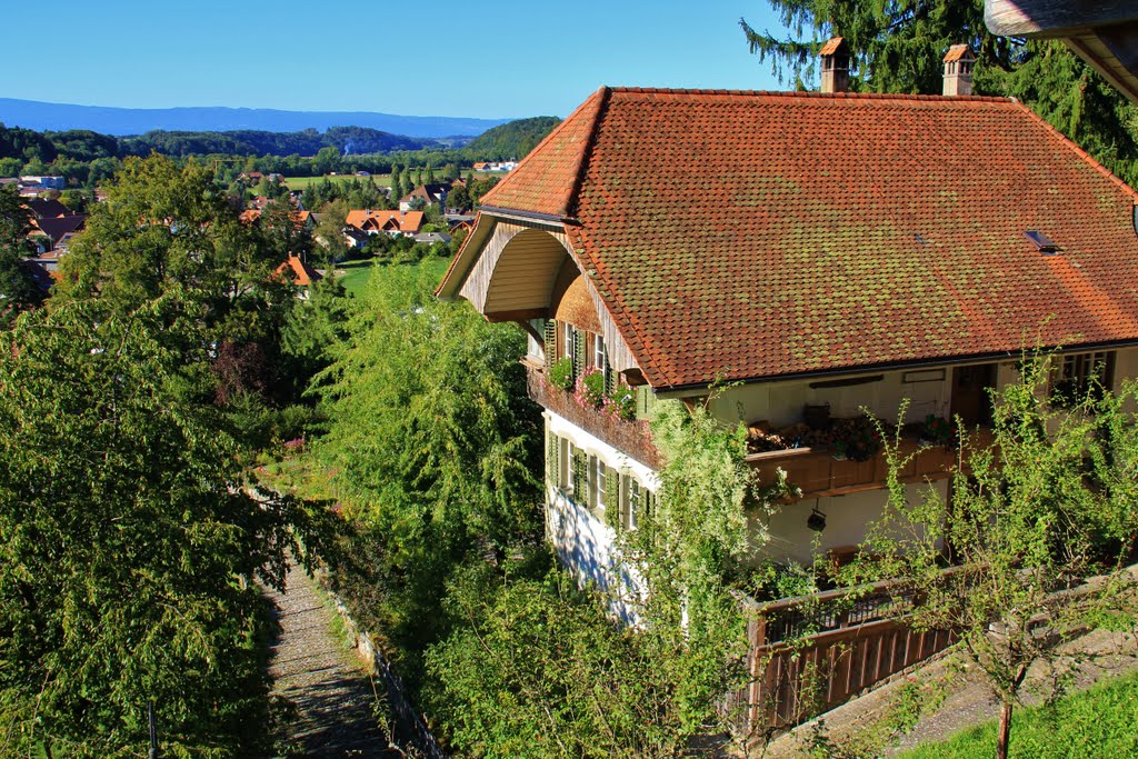 Laupen - Bern by Alfonso Minoli