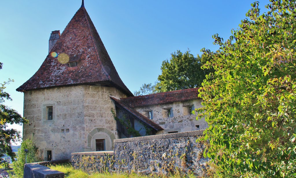 Laupen - Bern, torre di guardia del Castello by Alfonso Minoli