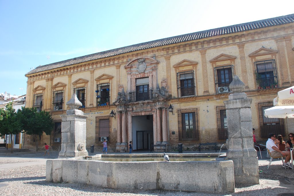 Fachada del Palacio del Vizconde de Miranda siglo XVIII(f) by Ferlancor Pano Yes