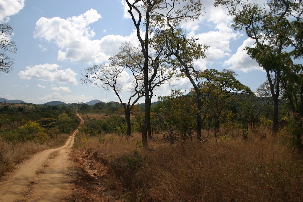 Old M9 road to Nyika by Dr. Thomas Wagner