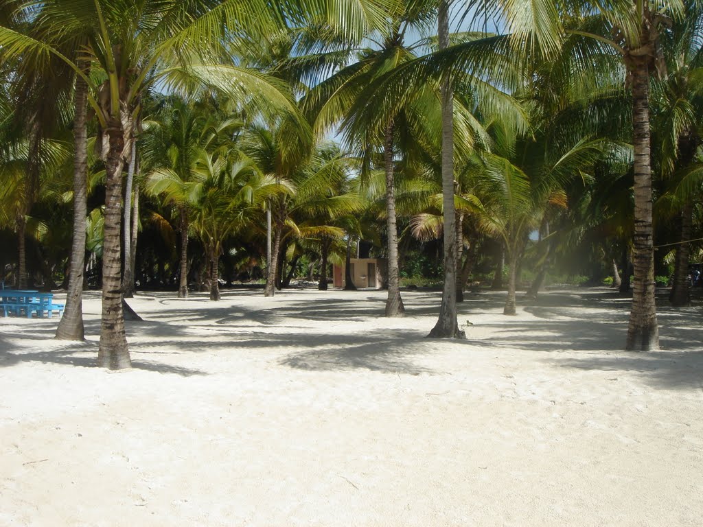 Saona Island Santo Domingo by Sandro Rieti