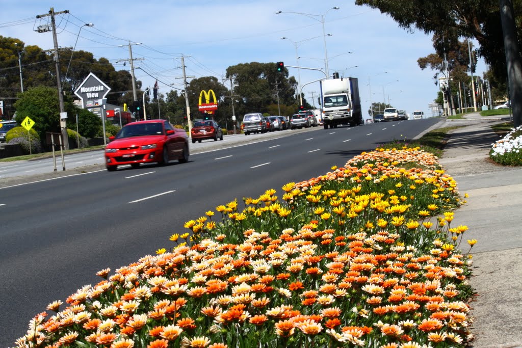 High St Rd by Adalee