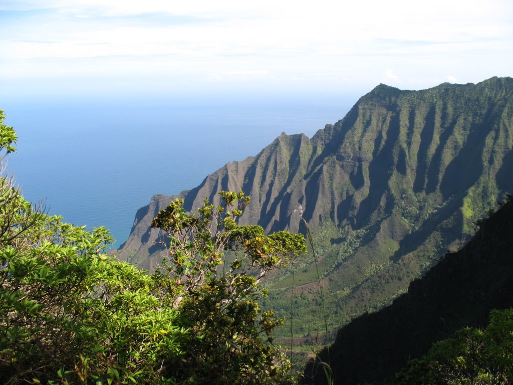 Napali Coast by F. Nogueira