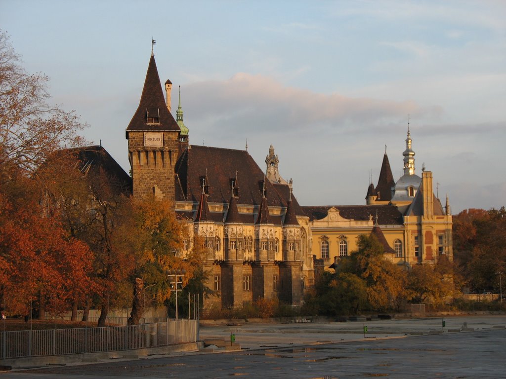 Vajdahunyad castle by jrush