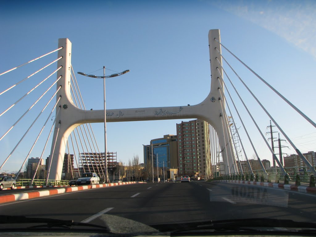 Cable Bridge by Afshin Keramati