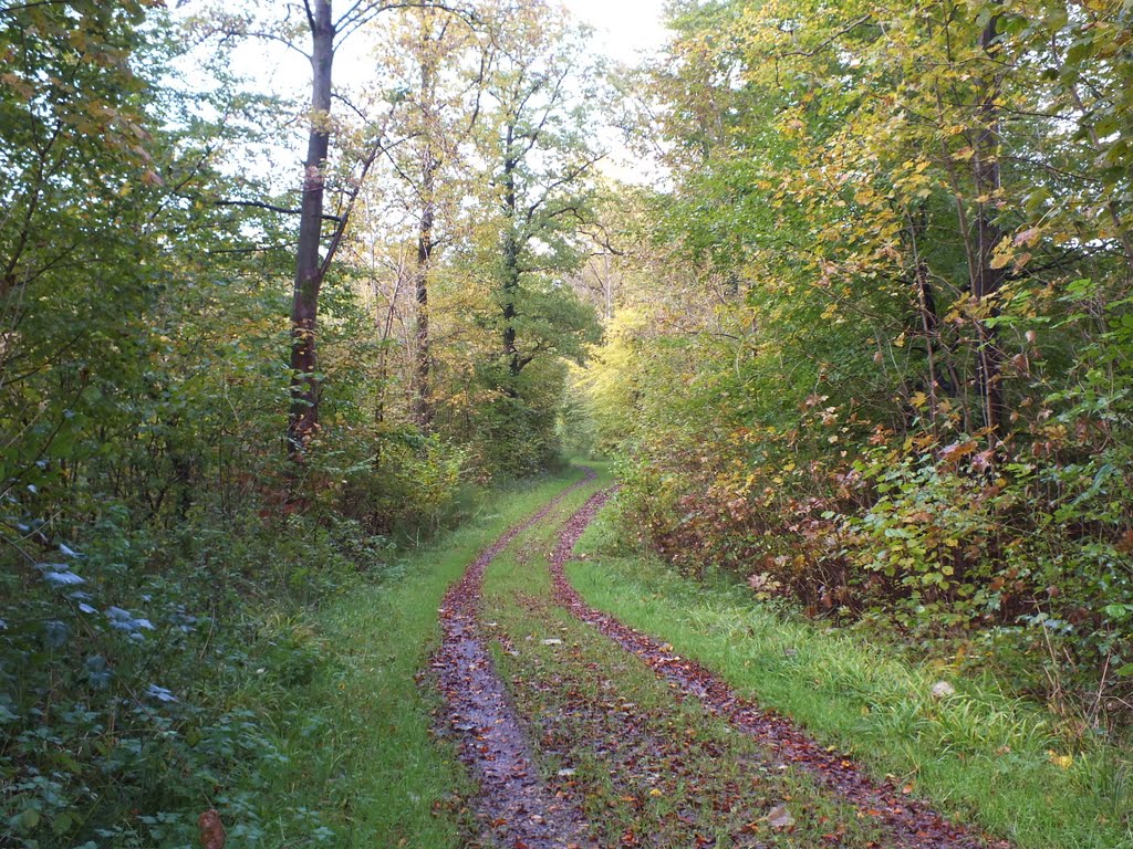 Aabenraa, 19. oktober 2011 by Papkassen save panor…