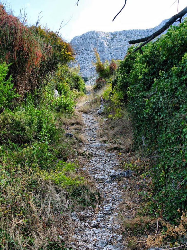 PODGORA, SRIDA SELA by Damir Alter