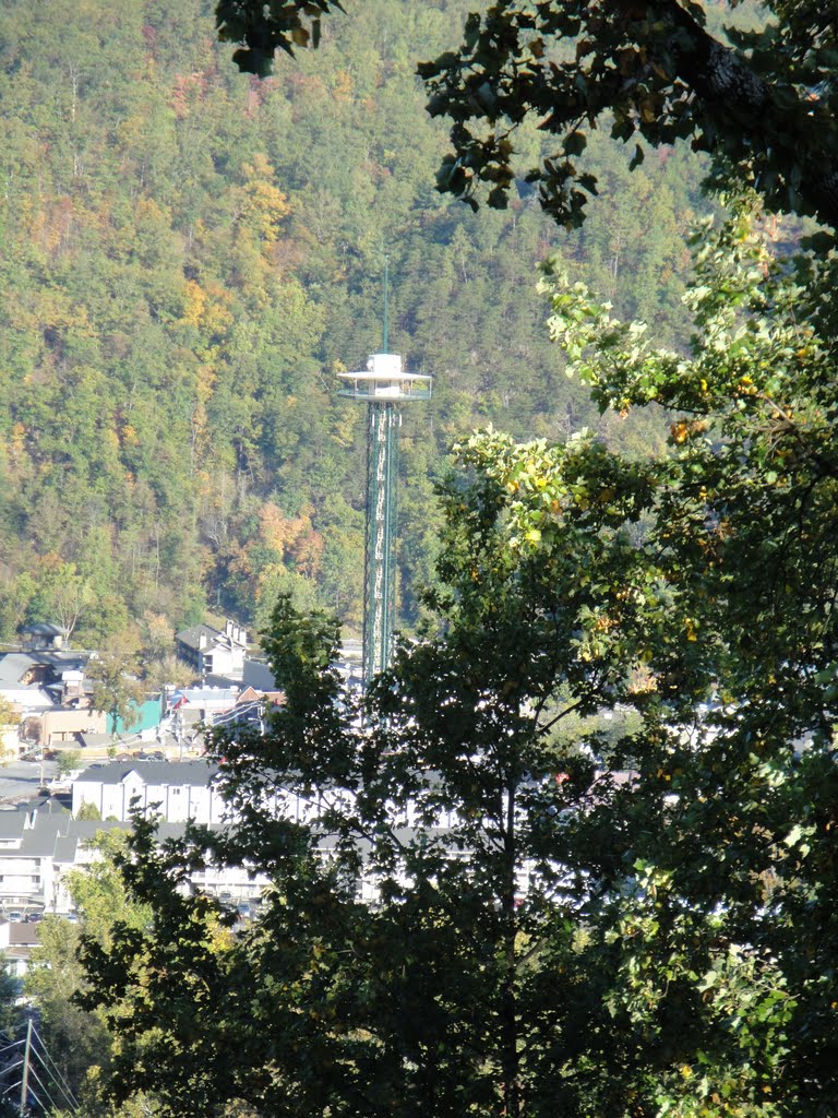 The Space Needle by ROLL TIDE