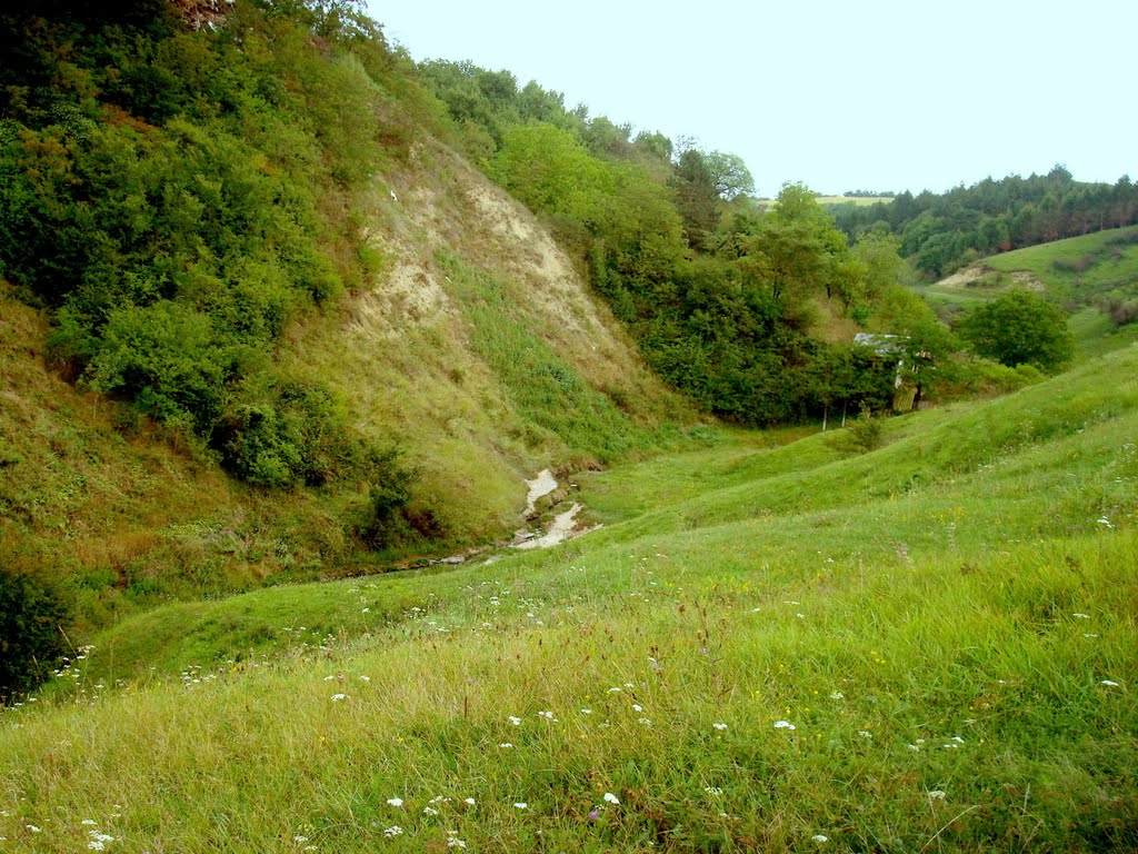 Turda - Paraului Mic Sarat - (2009.08.18) by Ani Catalina