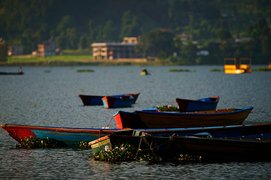 Lake Side, Pokhara 33700, Nepal by 美色印象